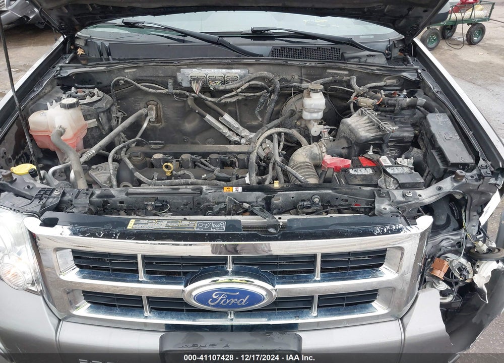 2011 FORD ESCAPE XLT VIN: 1FMCU0D74BKB90980