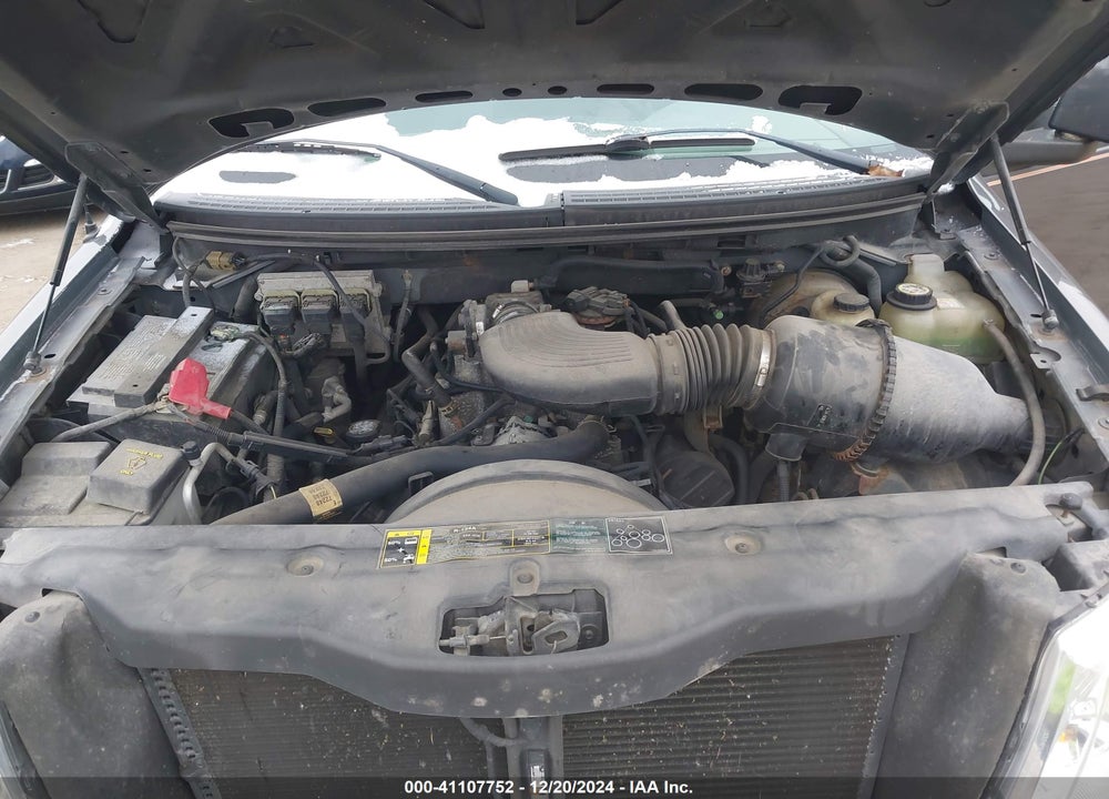 2004 FORD F-150 STX/XL/XLT VIN: 1FTRX12W84FA22339