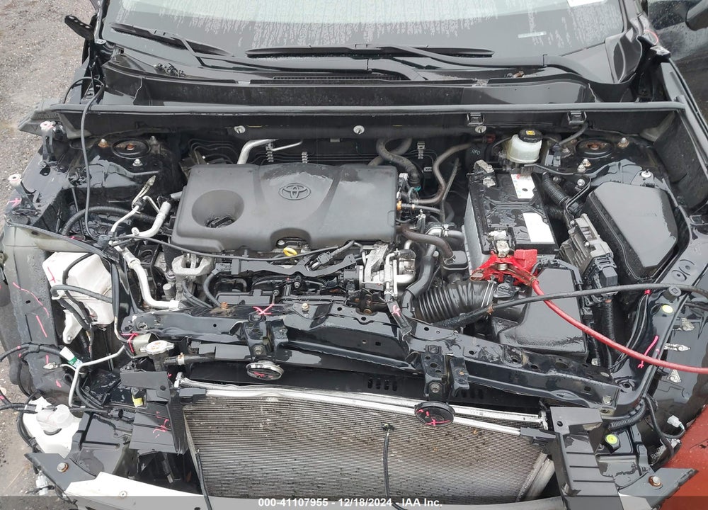 2019 TOYOTA RAV4 LE VIN: JTMF1RFV0KD034790