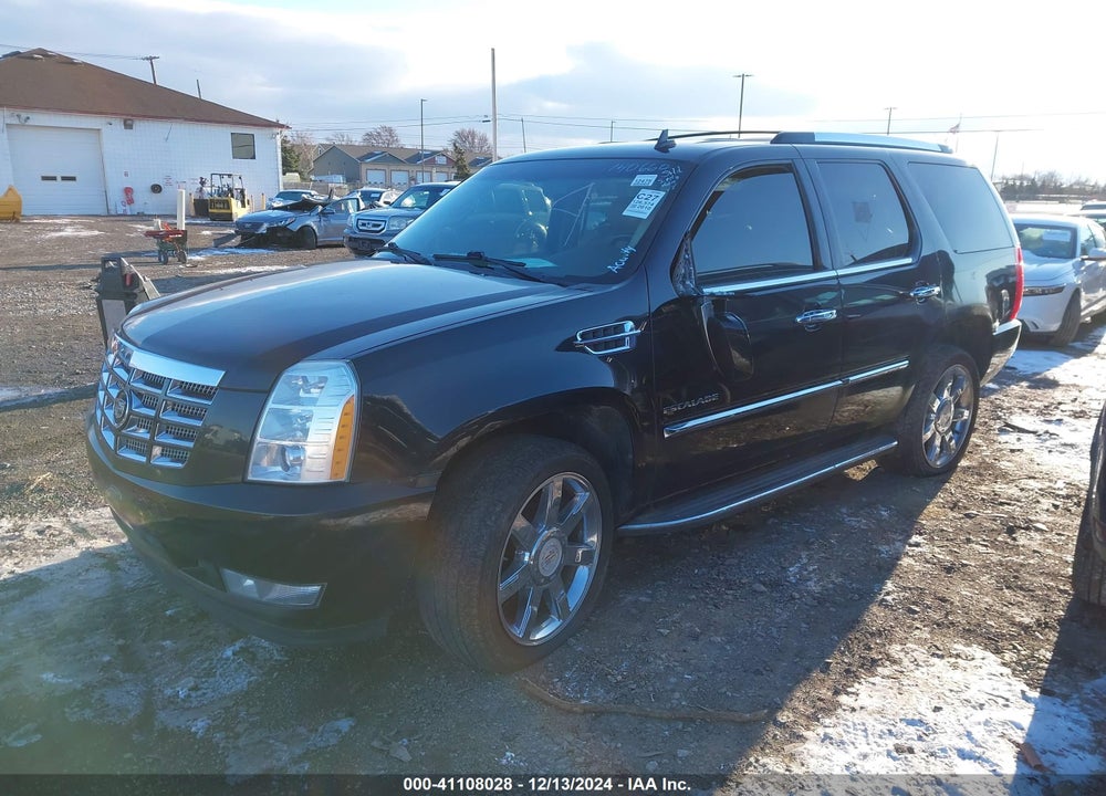 2010 CADILLAC ESCALADE STANDARD VIN: 1GYUKAEF8AR140660
