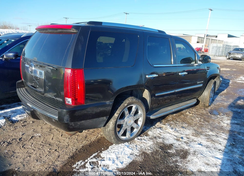2010 CADILLAC ESCALADE STANDARD VIN: 1GYUKAEF8AR140660