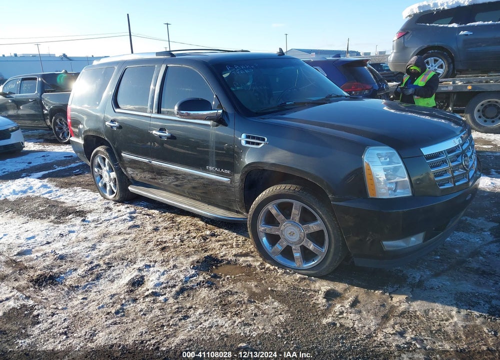 2010 CADILLAC ESCALADE STANDARD VIN: 1GYUKAEF8AR140660