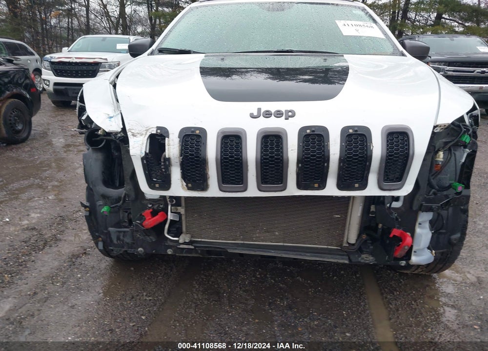 2016 JEEP CHEROKEE TRAILHAWK VIN: 1C4PJMBSXGW335355