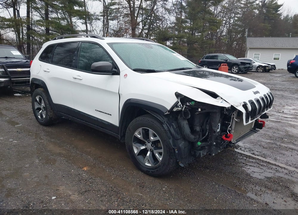 2016 JEEP CHEROKEE TRAILHAWK VIN: 1C4PJMBSXGW335355