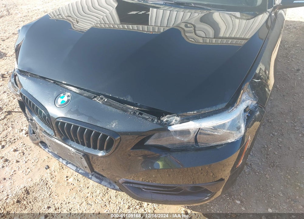 2021 BMW 230I VIN: WBA2J1C0XM7J03699