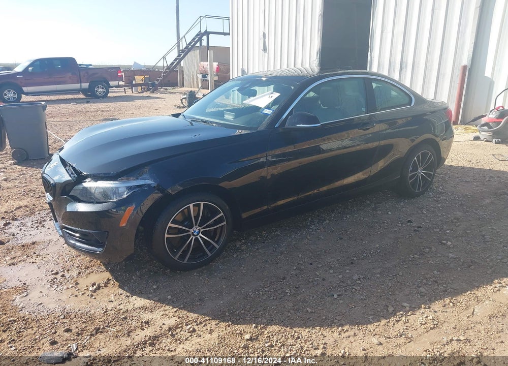 2021 BMW 230I VIN: WBA2J1C0XM7J03699