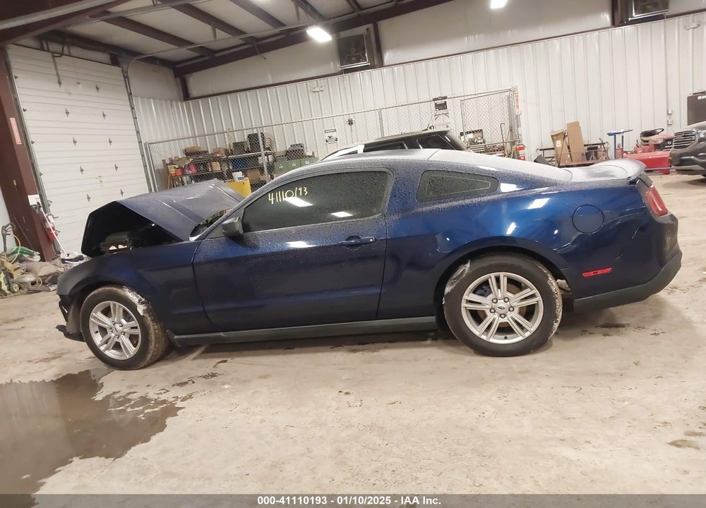 2011 FORD MUSTANG VIN: 1ZVBP8AM9B5105773
