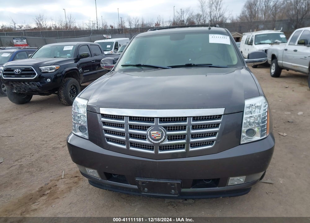 2010 CADILLAC ESCALADE STANDARD VIN: 1GYUKAEF3AR254842