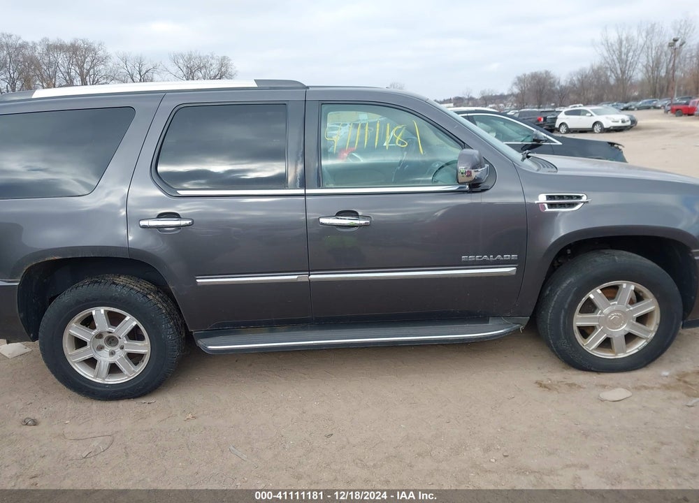 2010 CADILLAC ESCALADE STANDARD VIN: 1GYUKAEF3AR254842