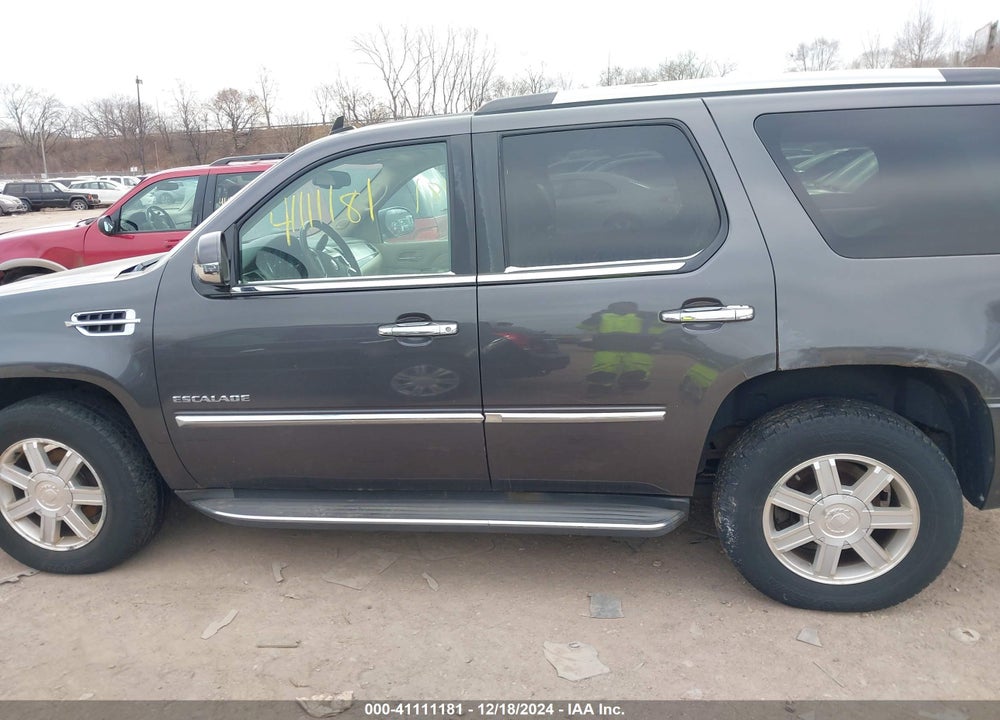 2010 CADILLAC ESCALADE STANDARD VIN: 1GYUKAEF3AR254842