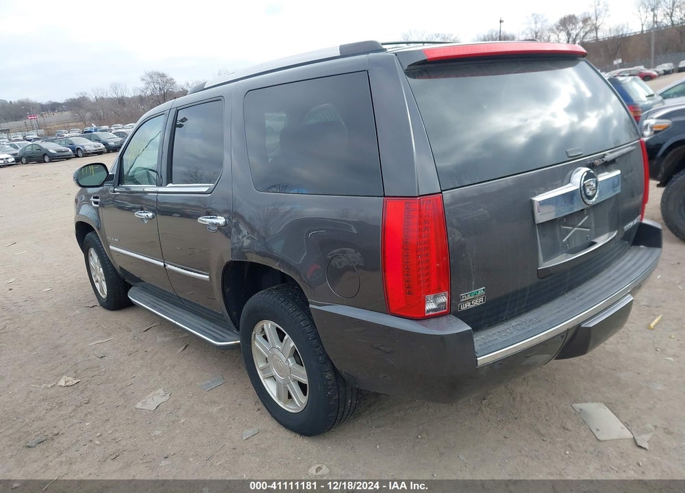 2010 CADILLAC ESCALADE STANDARD VIN: 1GYUKAEF3AR254842