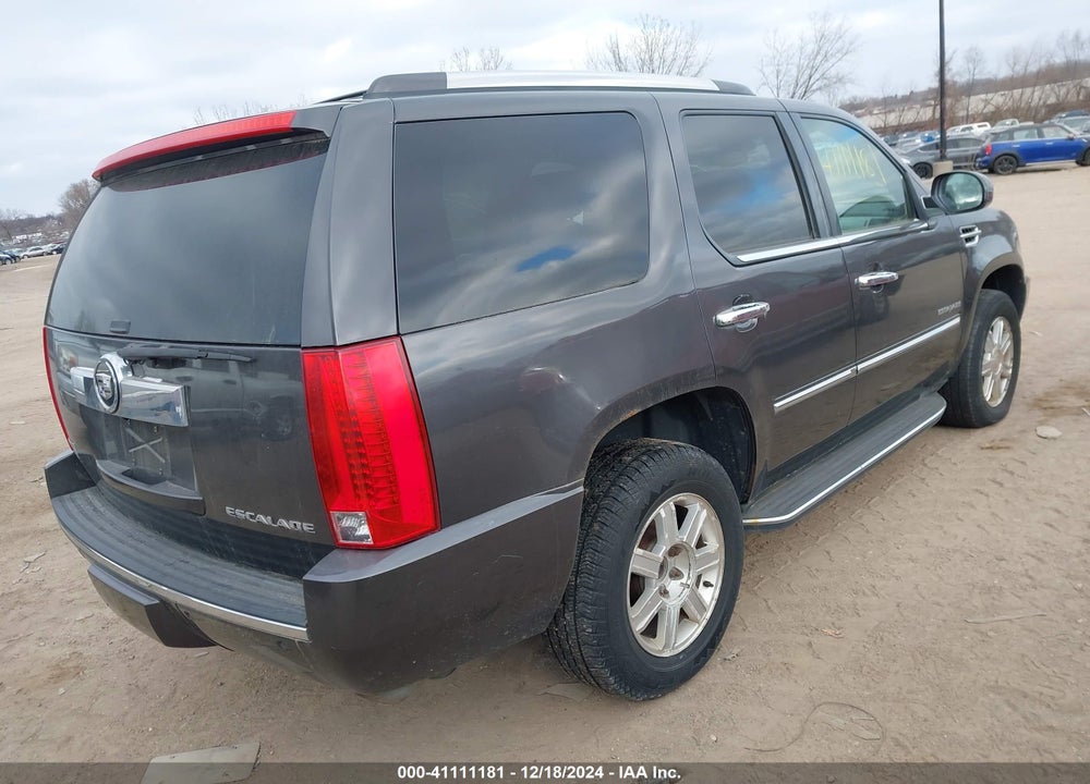 2010 CADILLAC ESCALADE STANDARD VIN: 1GYUKAEF3AR254842
