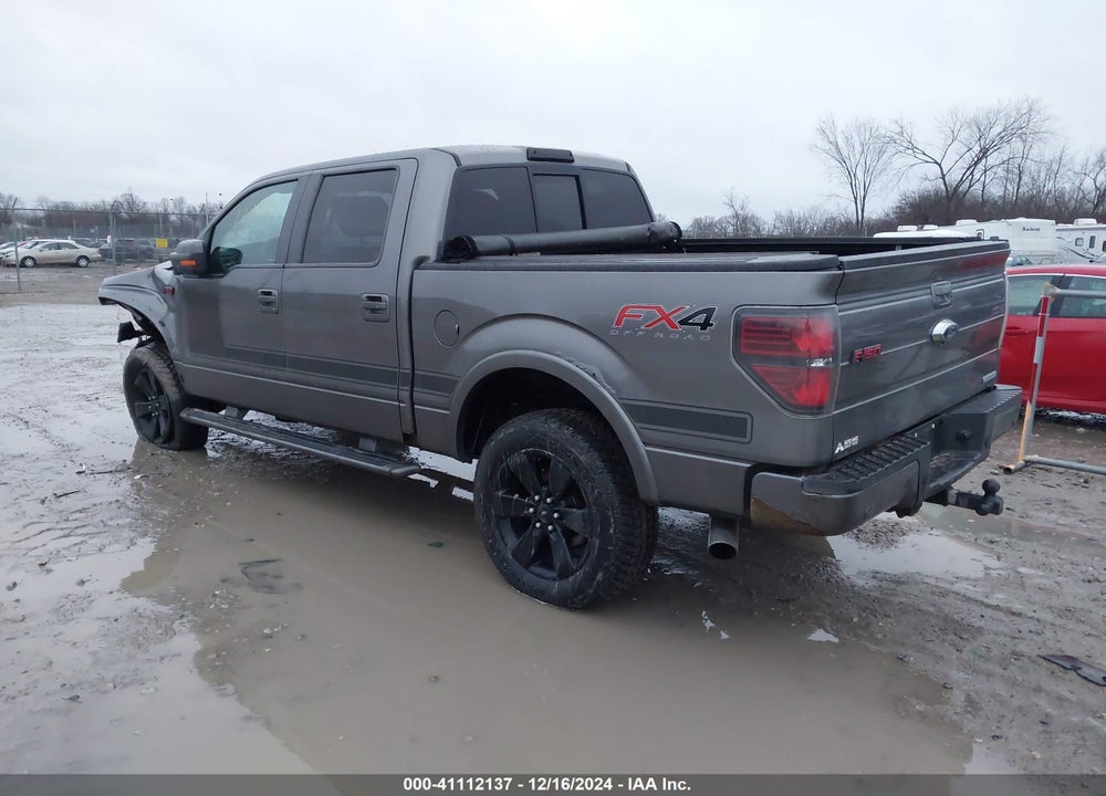 2013 FORD F-150 VIN: 1FTFW1ET4DFA87907