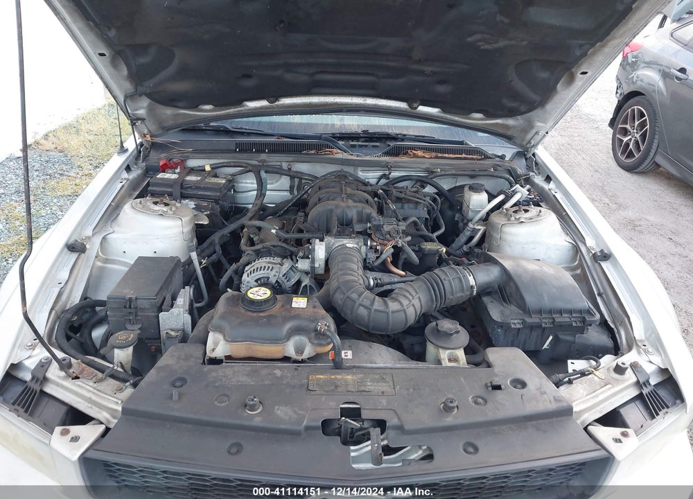 2009 FORD MUSTANG V6 VIN: 1ZVHT80N895113700