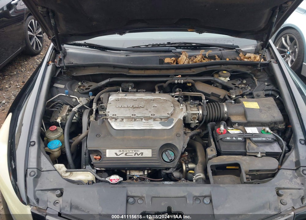 2010 HONDA ACCORD VIN: 1HGCP3F89AA029243