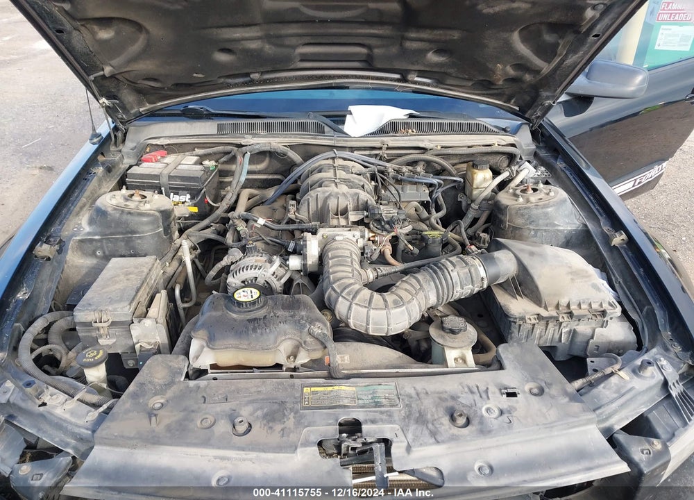 2009 FORD MUSTANG V6/V6 PREMIUM VIN: 1ZVHT80NX95134290