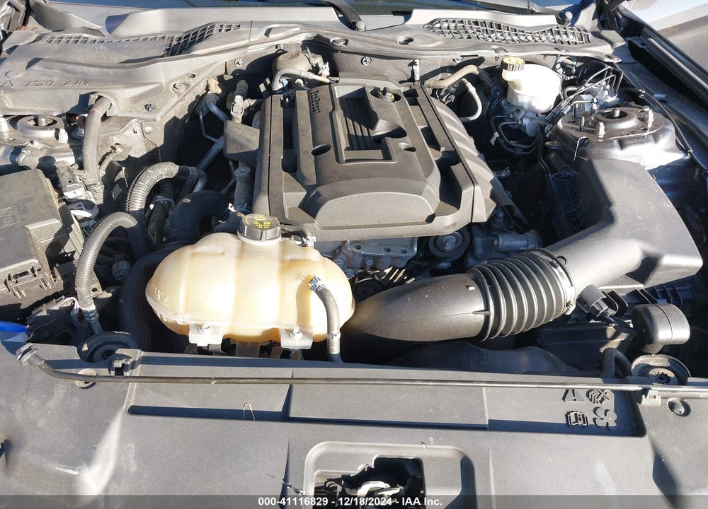 2020 FORD MUSTANG ECOBOOST VIN: 1FA6P8TH7L5145104