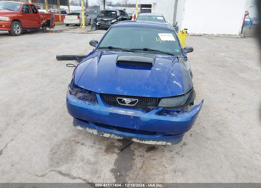 2003 FORD MUSTANG VIN: 1FAFP40463F434771