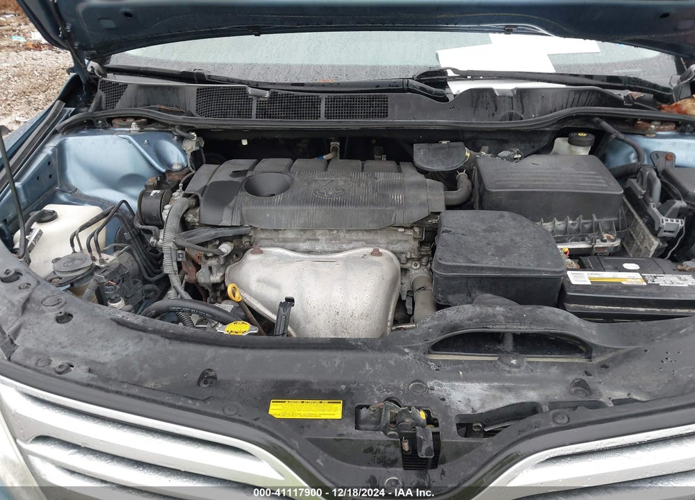 2010 TOYOTA VENZA VIN: 4T3BA3BB7AU010270