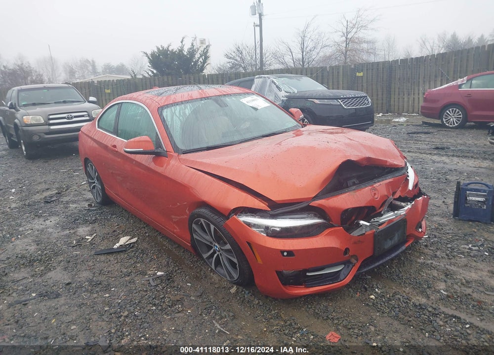 2016 BMW 228I XDRIVE VIN: WBA1G9C54GVX97178
