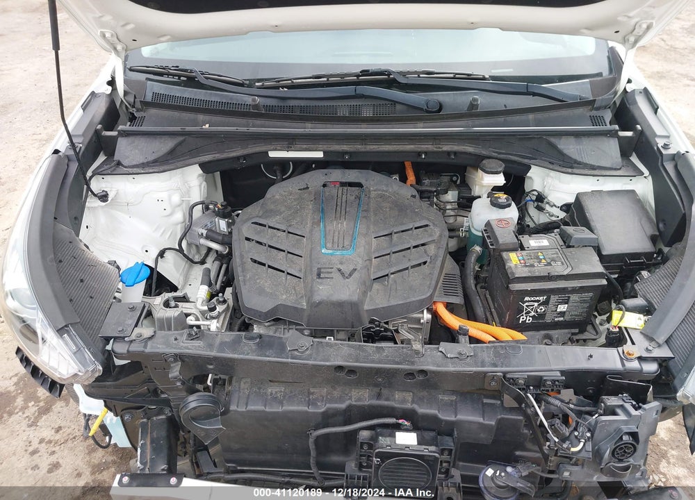 2019 KIA NIRO EV EX PREMIUM VIN: KNDCE3LG6K5014936