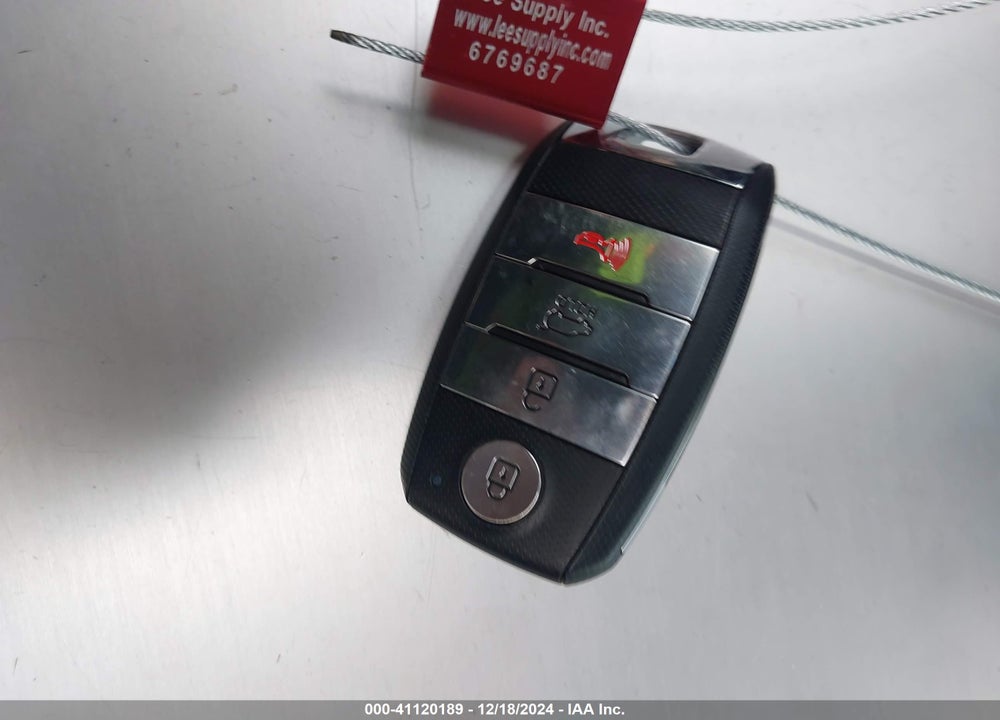 2019 KIA NIRO EV EX PREMIUM VIN: KNDCE3LG6K5014936