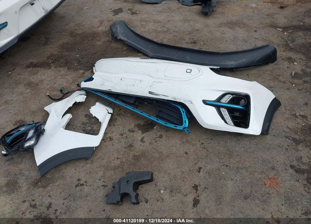 2019 KIA NIRO EV EX PREMIUM VIN: KNDCE3LG6K5014936
