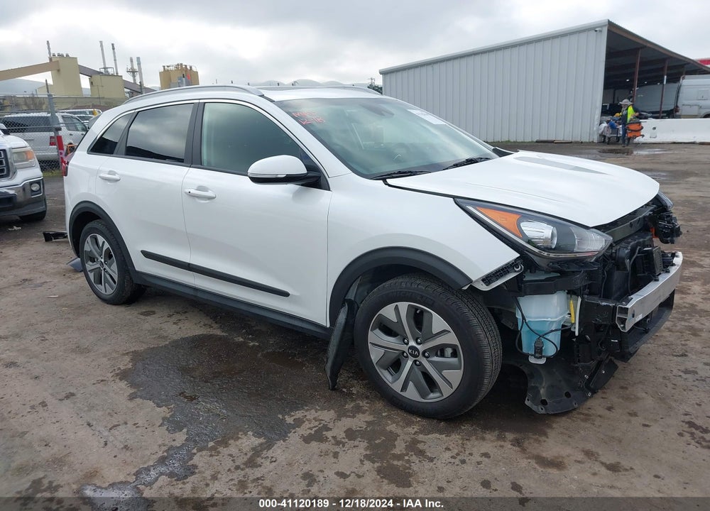 2019 KIA NIRO EV EX PREMIUM VIN: KNDCE3LG6K5014936