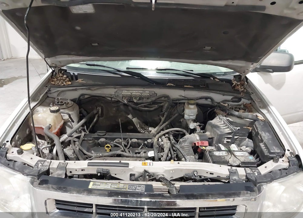 2011 FORD ESCAPE XLT VIN: 1FMCU0D70BKA48738