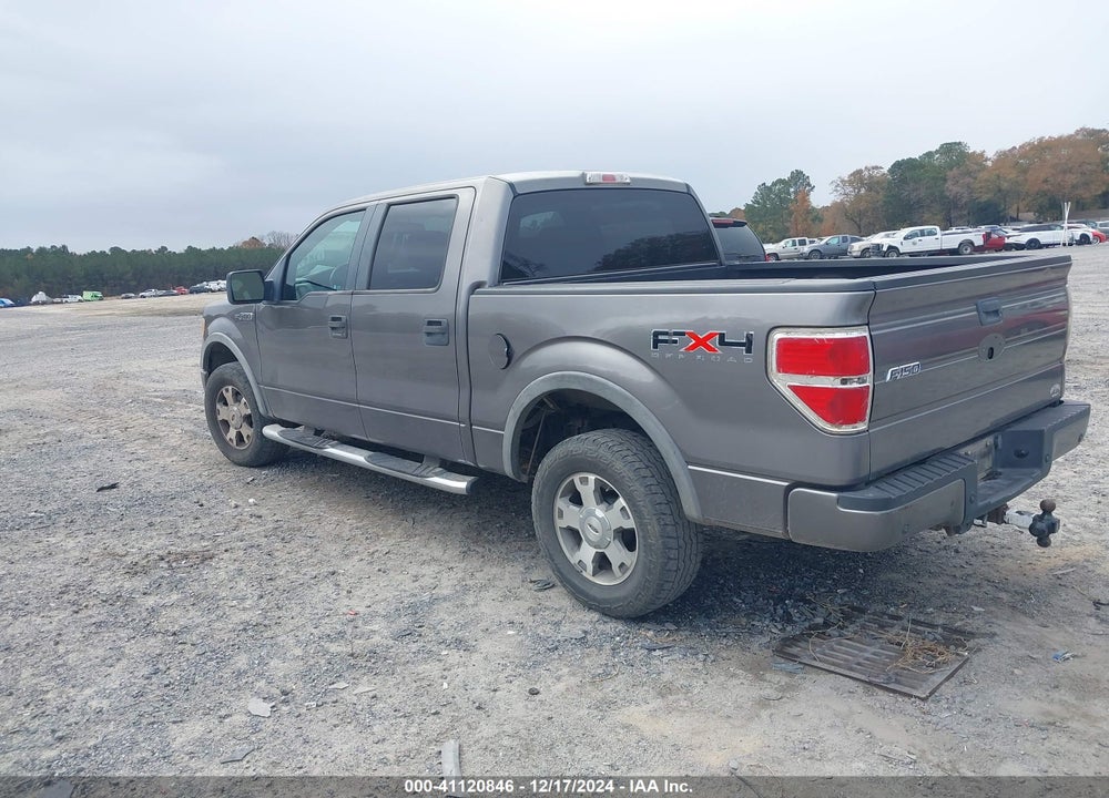 2009 FORD F-150 VIN: 1FTPW14V99FA80921