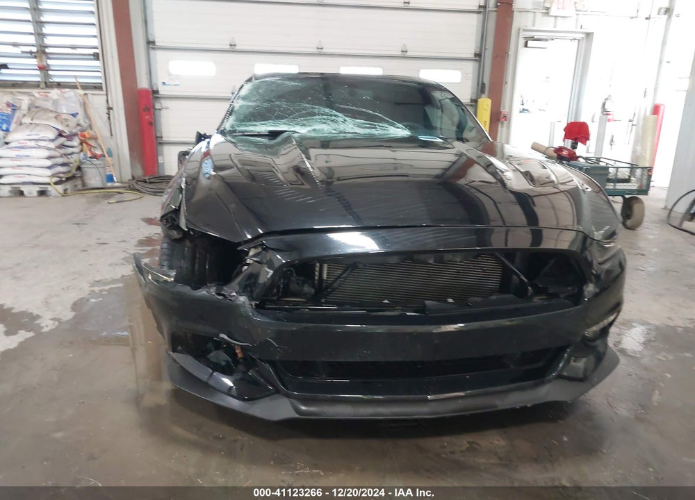 2016 FORD MUSTANG GT PREMIUM VIN: 1FA6P8CF0G5333564