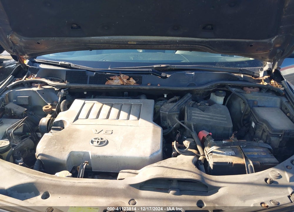 2010 TOYOTA VENZA VIN: 4T3BK3BB3AU044252