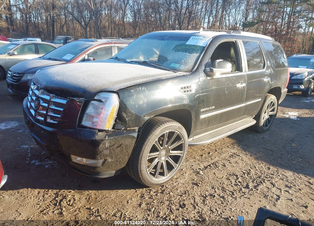 2011 CADILLAC ESCALADE STANDARD VIN: 1GYS4AEF9BR252287