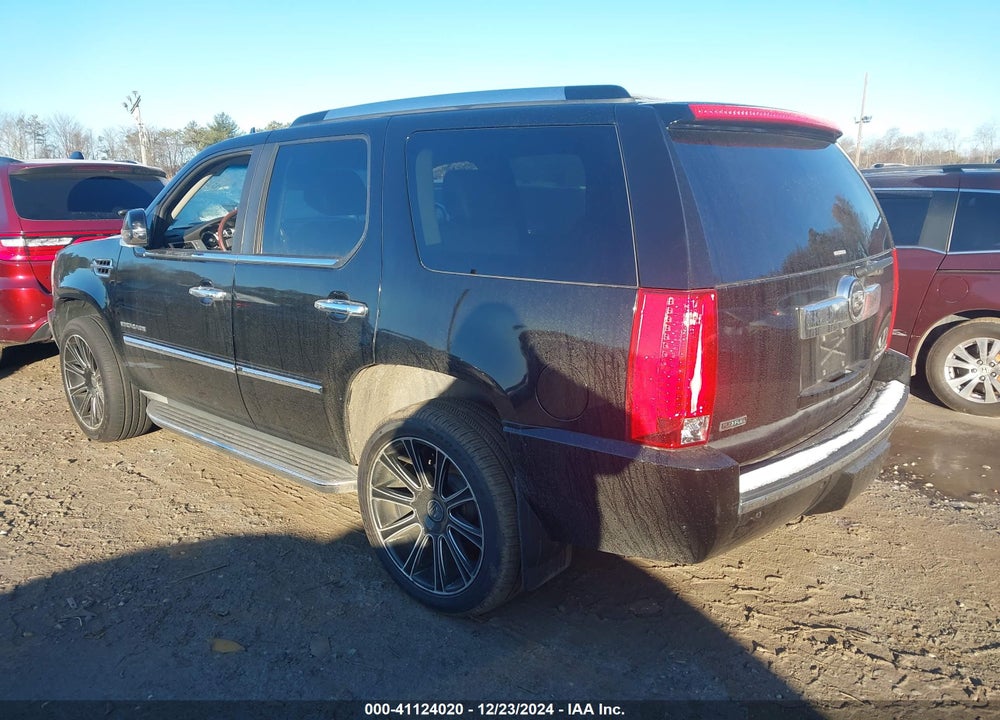 2011 CADILLAC ESCALADE STANDARD VIN: 1GYS4AEF9BR252287