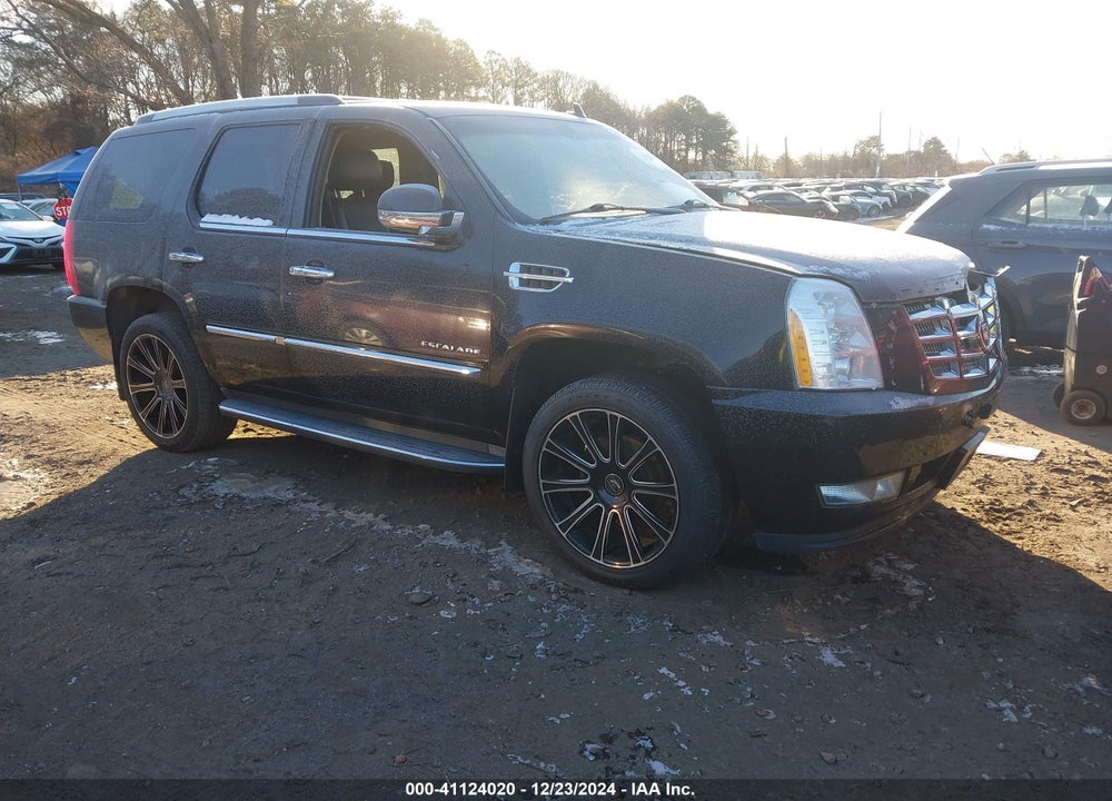 2011 CADILLAC ESCALADE STANDARD VIN: 1GYS4AEF9BR252287
