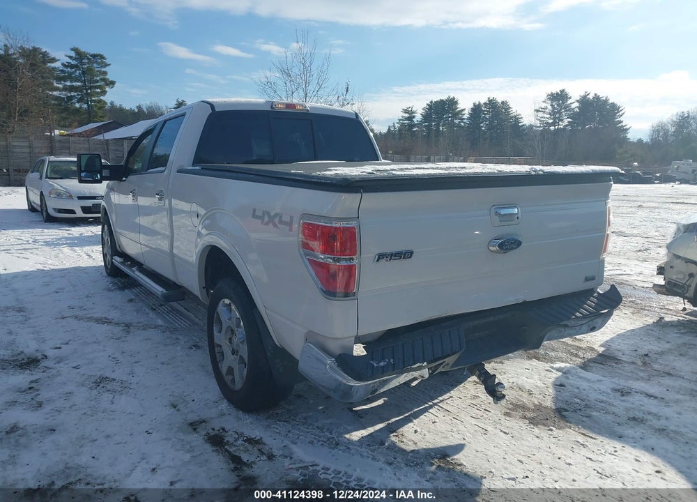 2010 FORD F-150 VIN: 1FTFW1EVXAFC33031