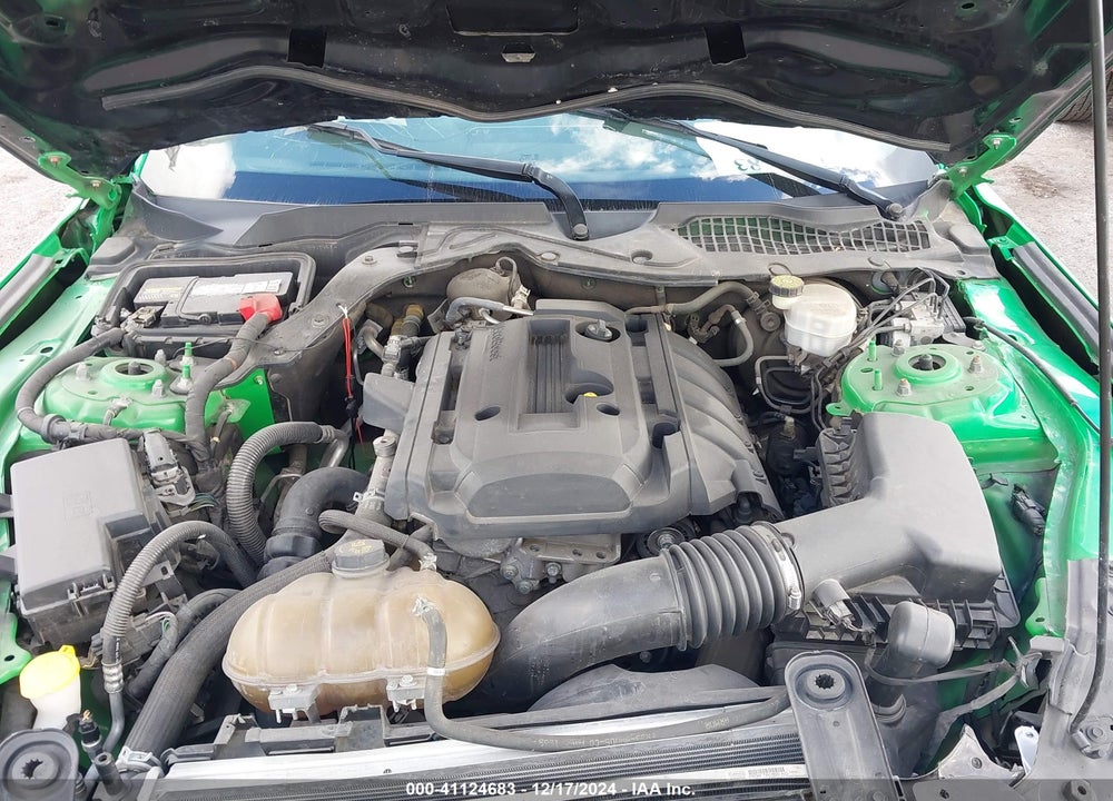 2019 FORD MUSTANG VIN: 1FA6P8TH1K5205067