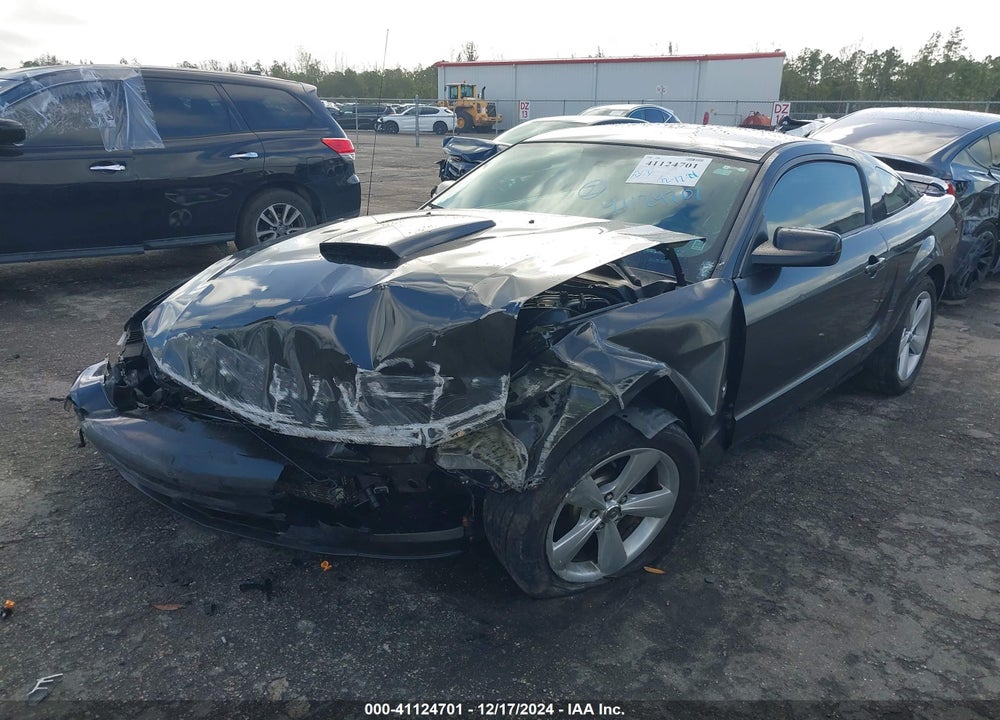 2007 FORD MUSTANG GT DELUXE/GT PREMIUM VIN: 1ZVHT82H075324233