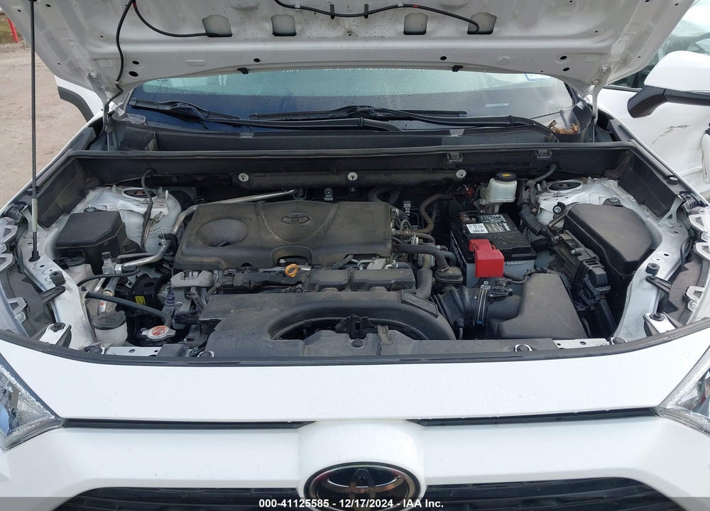 2019 TOYOTA RAV4 XLE VIN: 2T3W1RFV5KW008284