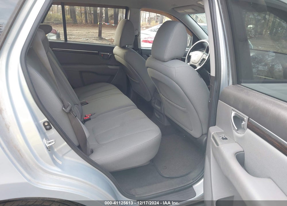 2010 HYUNDAI SANTA FE GLS VIN: 5NMSG3AB5AH396451