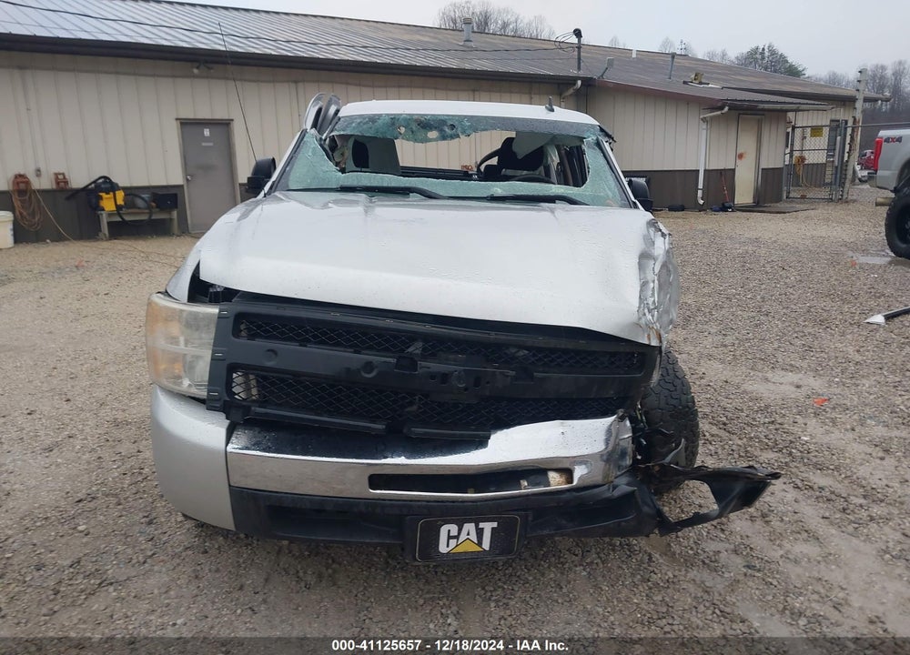2010 CHEVROLET SILVERADO VIN: 3GCRCREA1AG141001