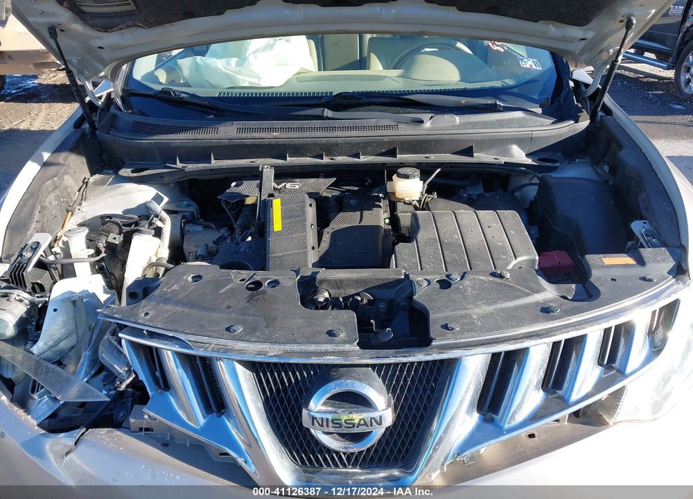 2010 NISSAN MURANO LE VIN: JN8AZ1MW6AW138398