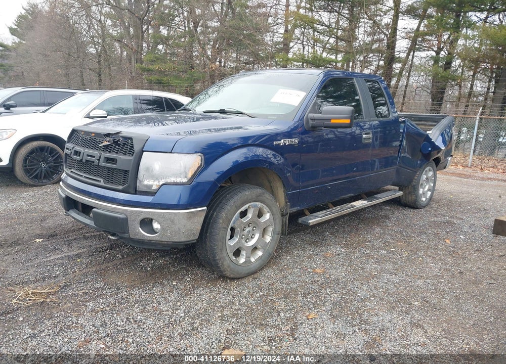 2011 FORD F-150 XLT VIN: 1FTFX1EF6BFA92675