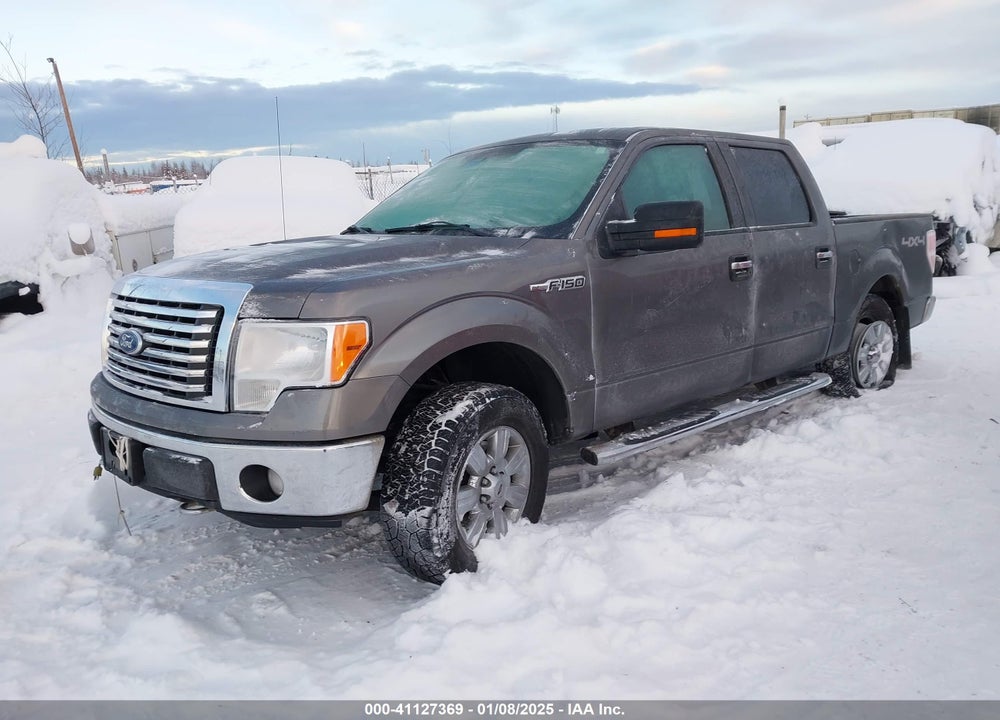 2011 FORD F-150 XLT VIN: 1FTFW1EF8BFD15382