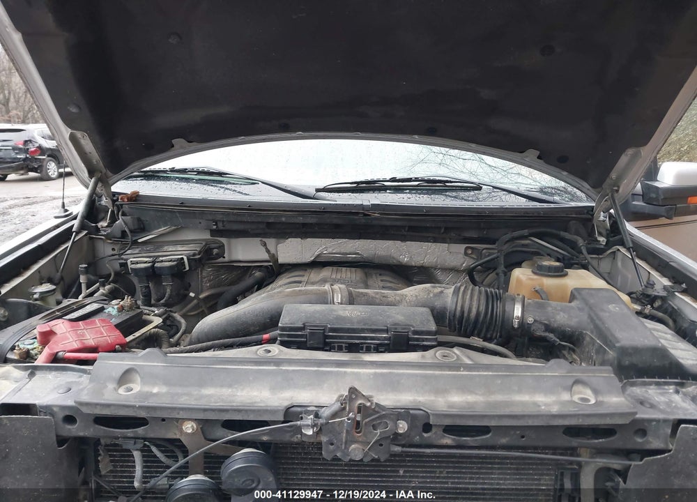 2011 FORD F-150 FX4 VIN: 1FTFW1ET1BFD23846