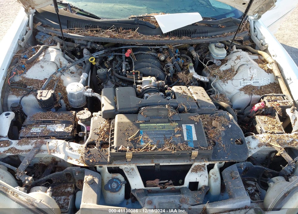2001 CHEVROLET CAMARO Z28 VIN: 2G1FP22G312123134