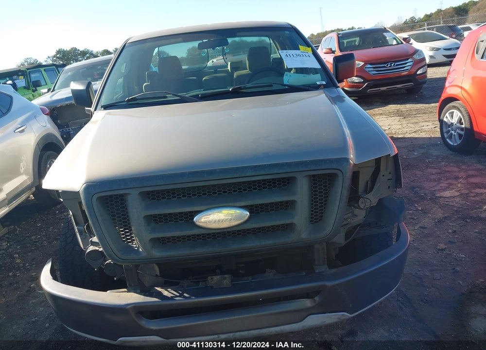 2006 FORD F-150 STX/XL/XLT VIN: 1FTRF12236NB54787