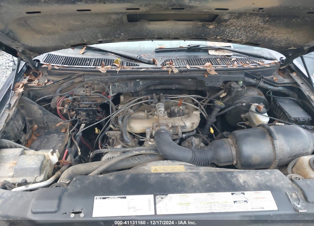 1999 FORD F-150 WORK SERIES/XL/XLT VIN: 1FTZX172XXNA38770
