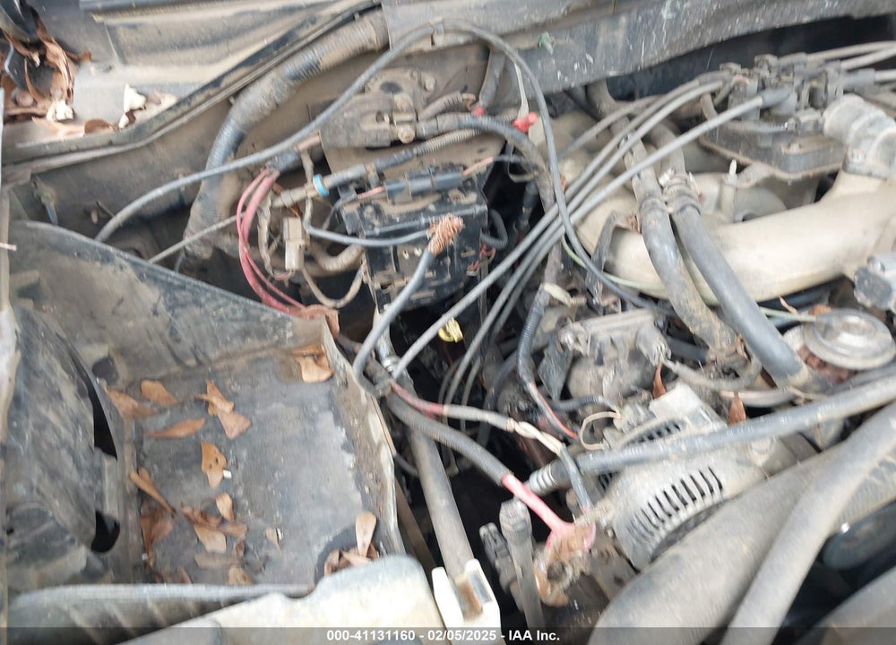 1999 FORD F-150 WORK SERIES/XL/XLT VIN: 1FTZX172XXNA38770