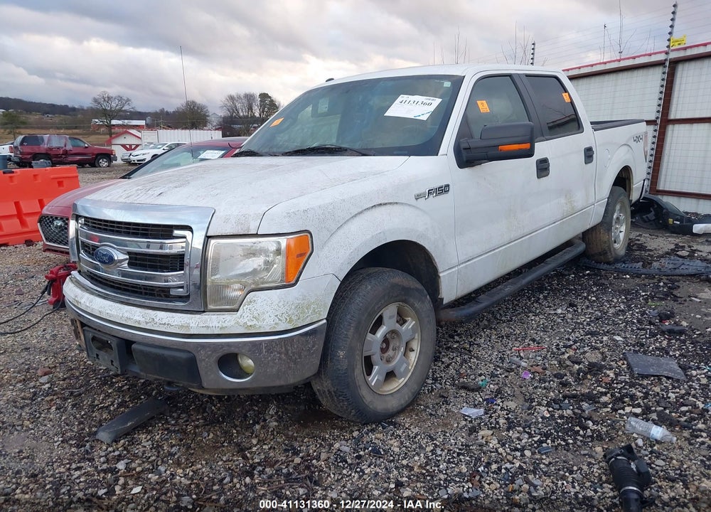 2014 FORD F-150 XLT VIN: 1FTFW1EF2EFA69983